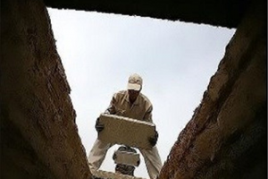 رفیق در قبر