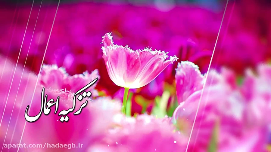 روایتی از امام علی علیه السلام در مورد اخلاص