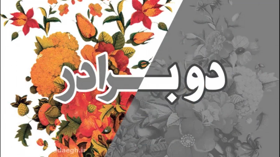 دو برادر