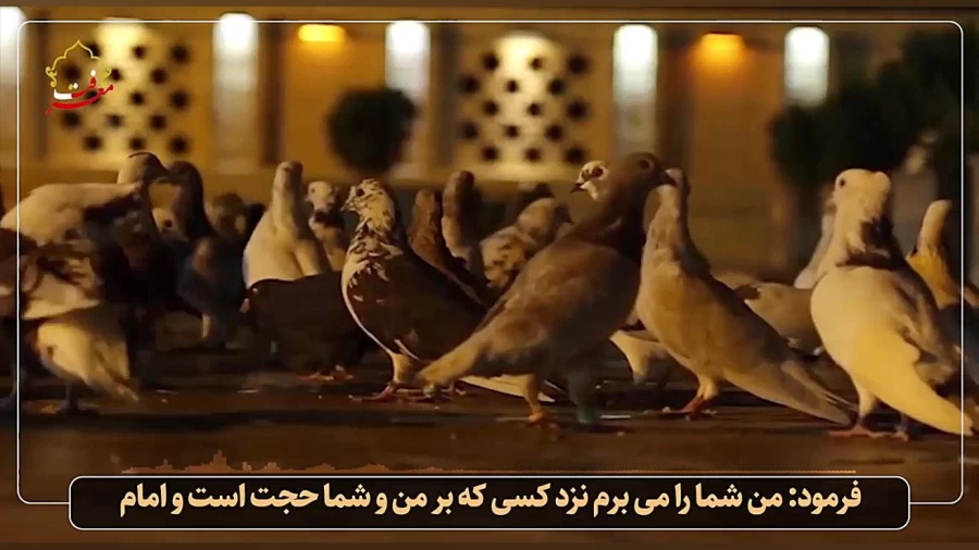 امانت دار
