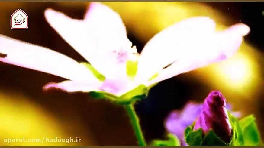ای که دستت می رسد!