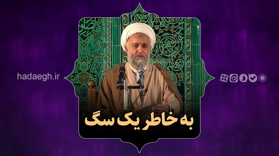 به خاطر یک سگ!